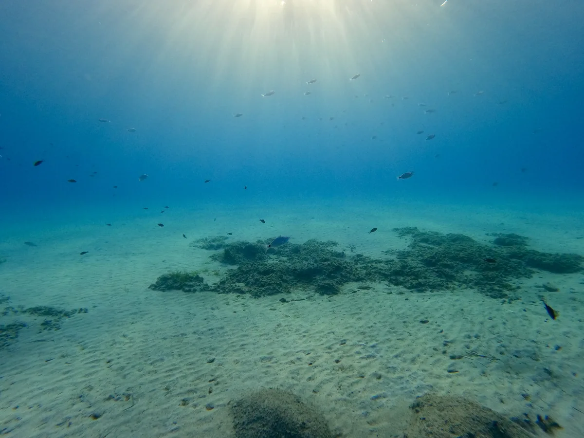 Fondale marino illuminato dal sole